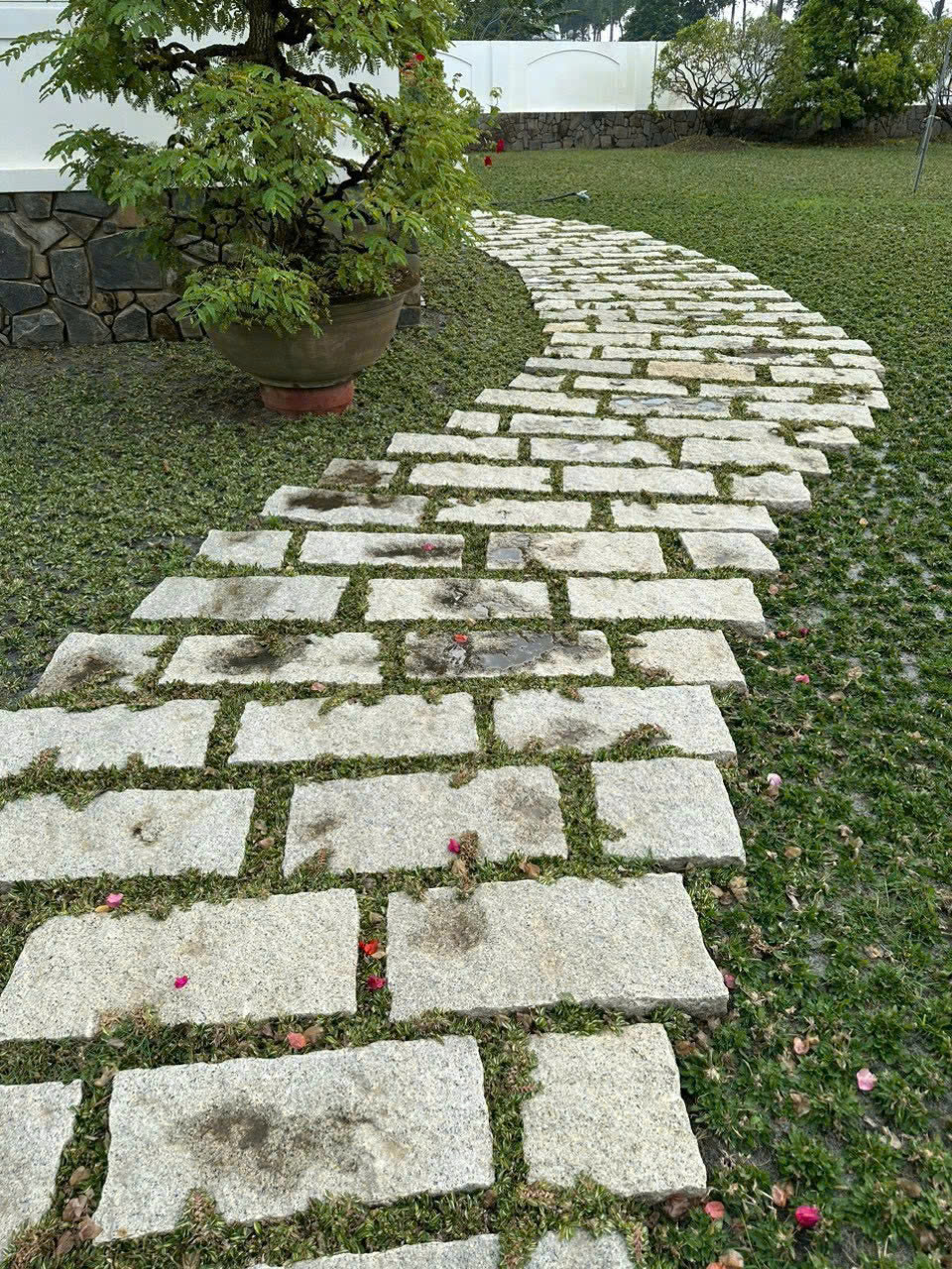đá sân vườn