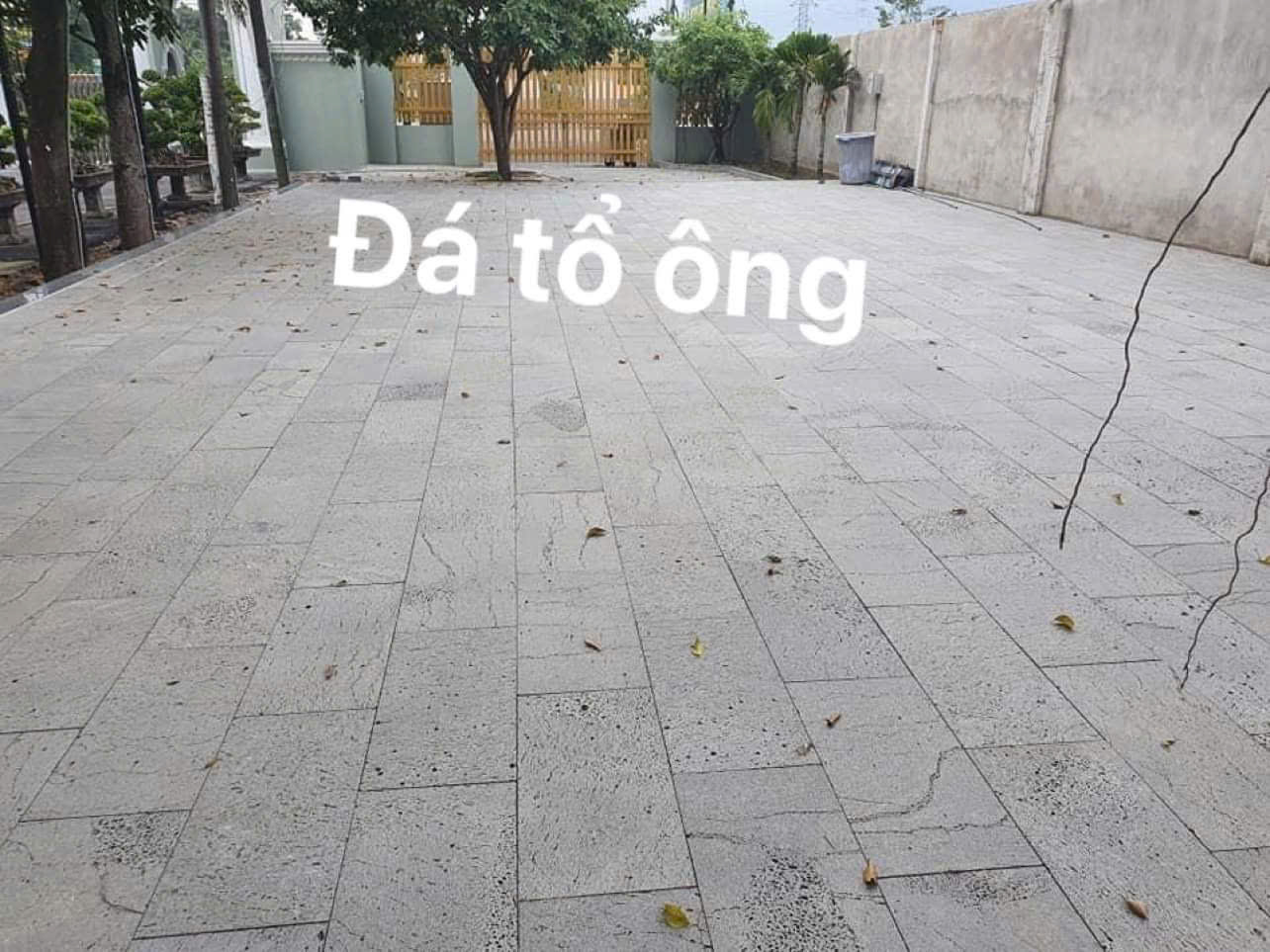 Đá tổ ong