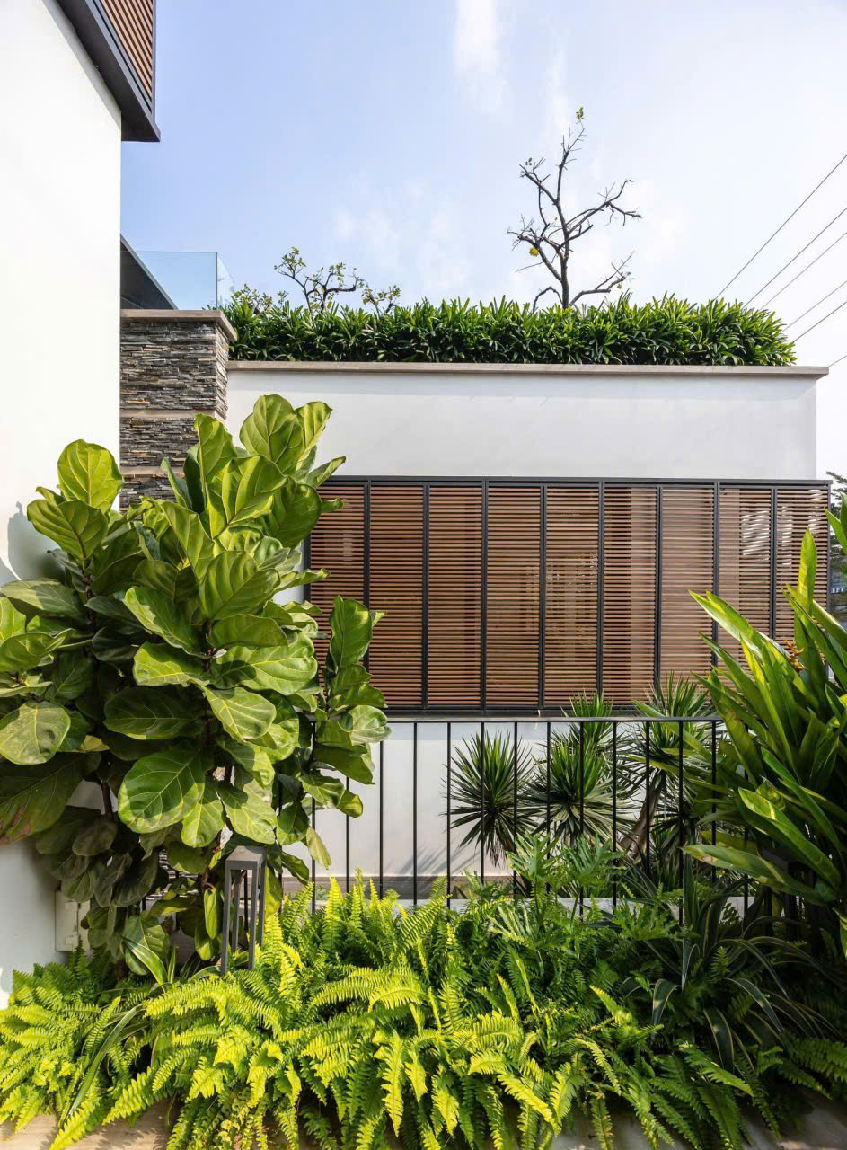 Lam che nắng gỗ nhựa mở xoay tự động