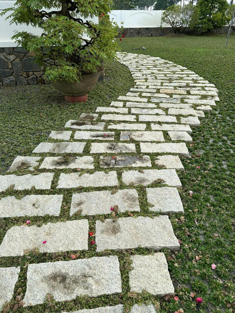 Đá bước dạo sân vườn