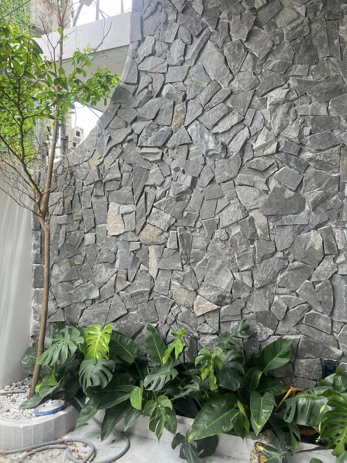 Tuổi Mậu Thìn 1988 làm nhà năm 2027